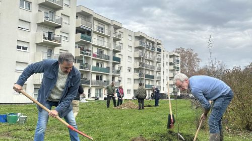 Une matinée nature dans nos résidences de Riedisheim
